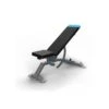 Banco ProForm Carbon Strength Adjustable Bench