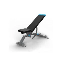 Banco ProForm Carbon Strength Adjustable Bench