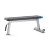 Banco ProForm Carbon Strength Flat Bench